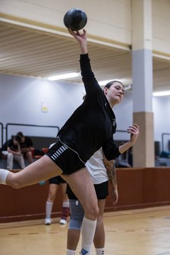 Bild 172 - F TSV Ellerau - HSG Tills Loewen 08 : Ergebnis: 16:18